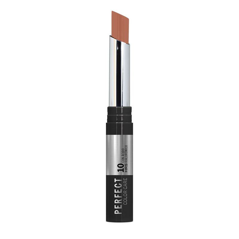 ANA MARIA - Labial Larga Duración LD Color Care Almendra Ana Maria 2 g