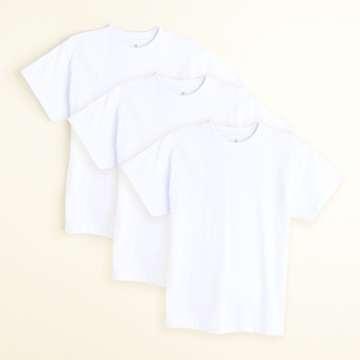 FEDERATION - Camiseta Niño Pack x3 Federation