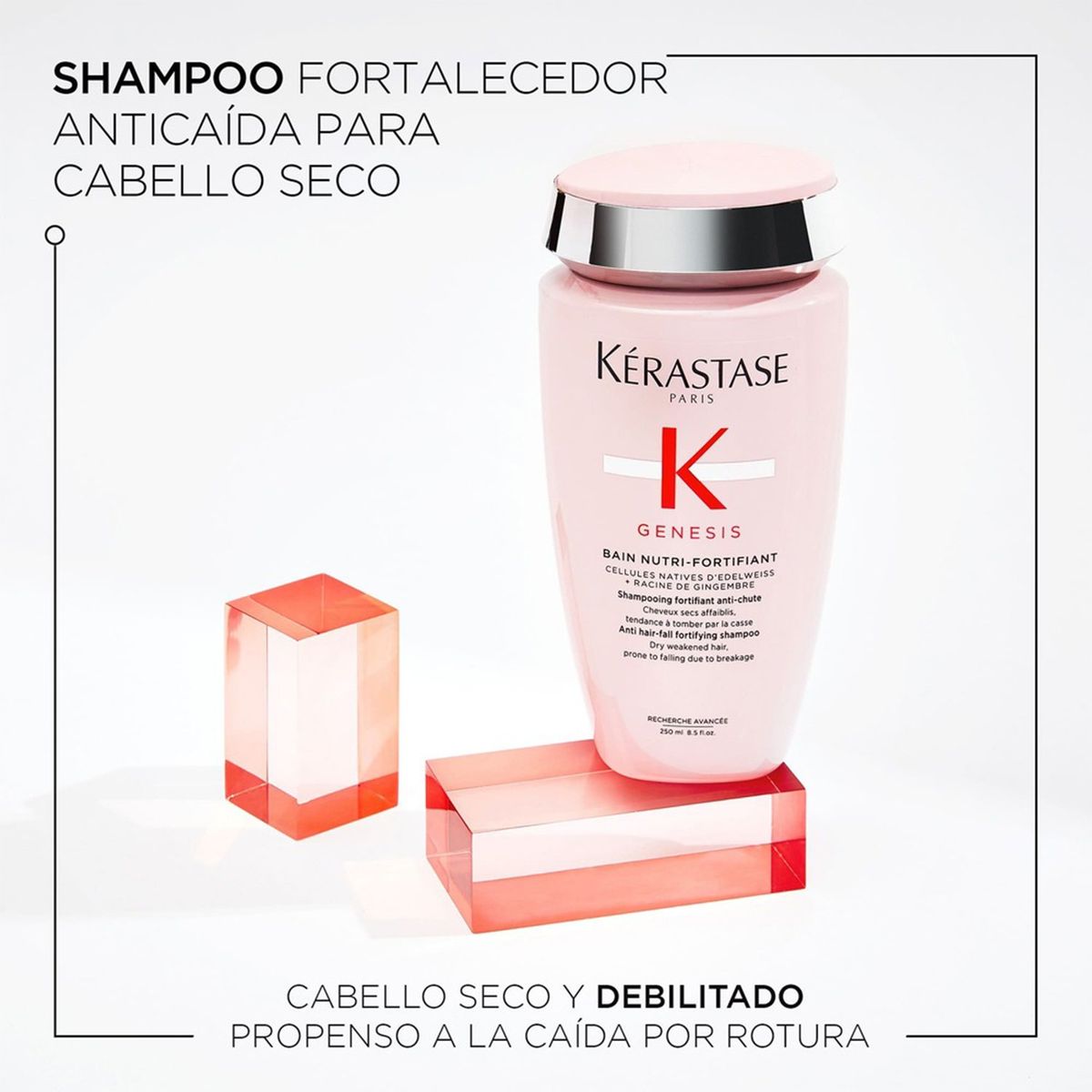 KERASTASE - Shampoo Kérastase Genesis NutriFortifiant anticaída cabello seco 250ml