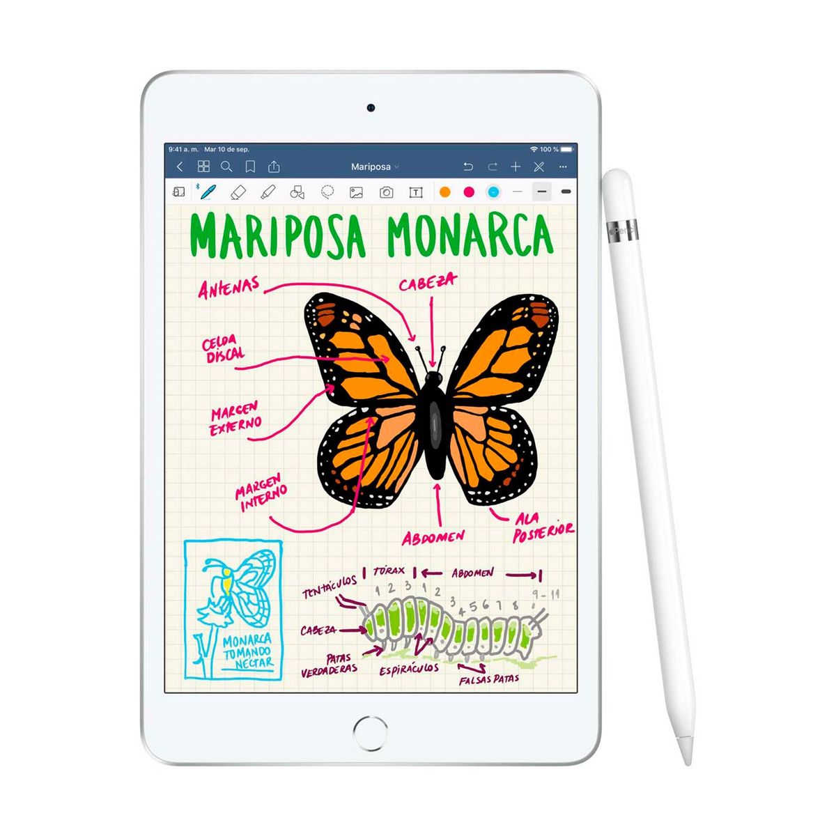 APPLE - Apple Pencil 1ra Generación