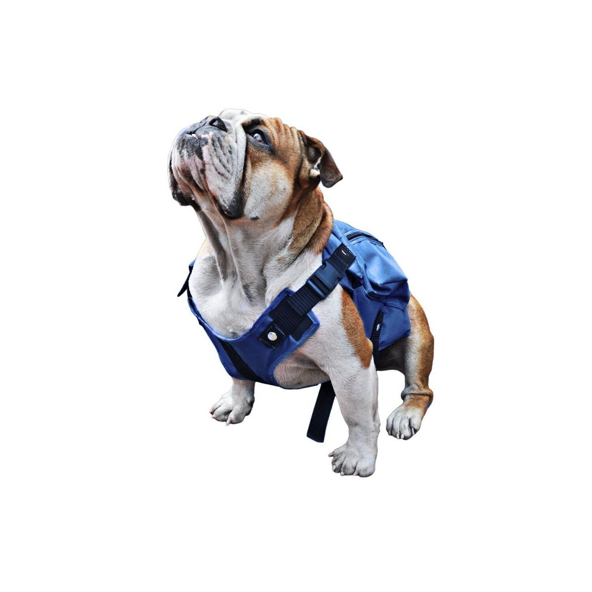 AM PLASTICOS LTDA - Chaleco de pesas