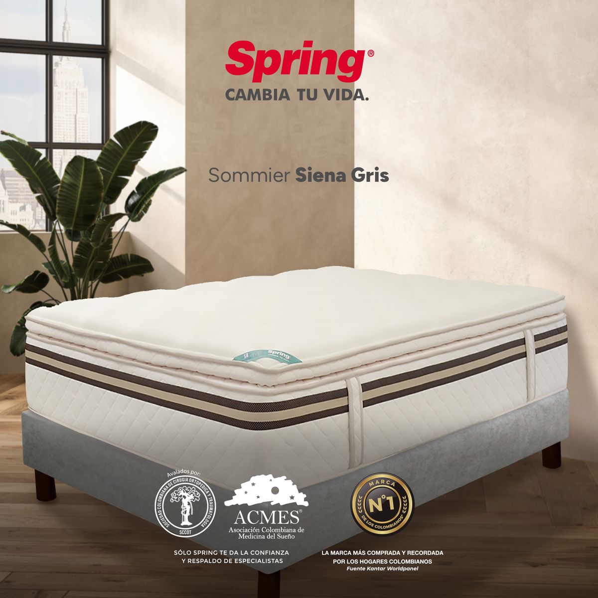 COLCHONES SPRING - Base Cama Dividida Tamaño King en Madera, (Incluye 1 Mitad 100 x 200 cm) Colchones Spring