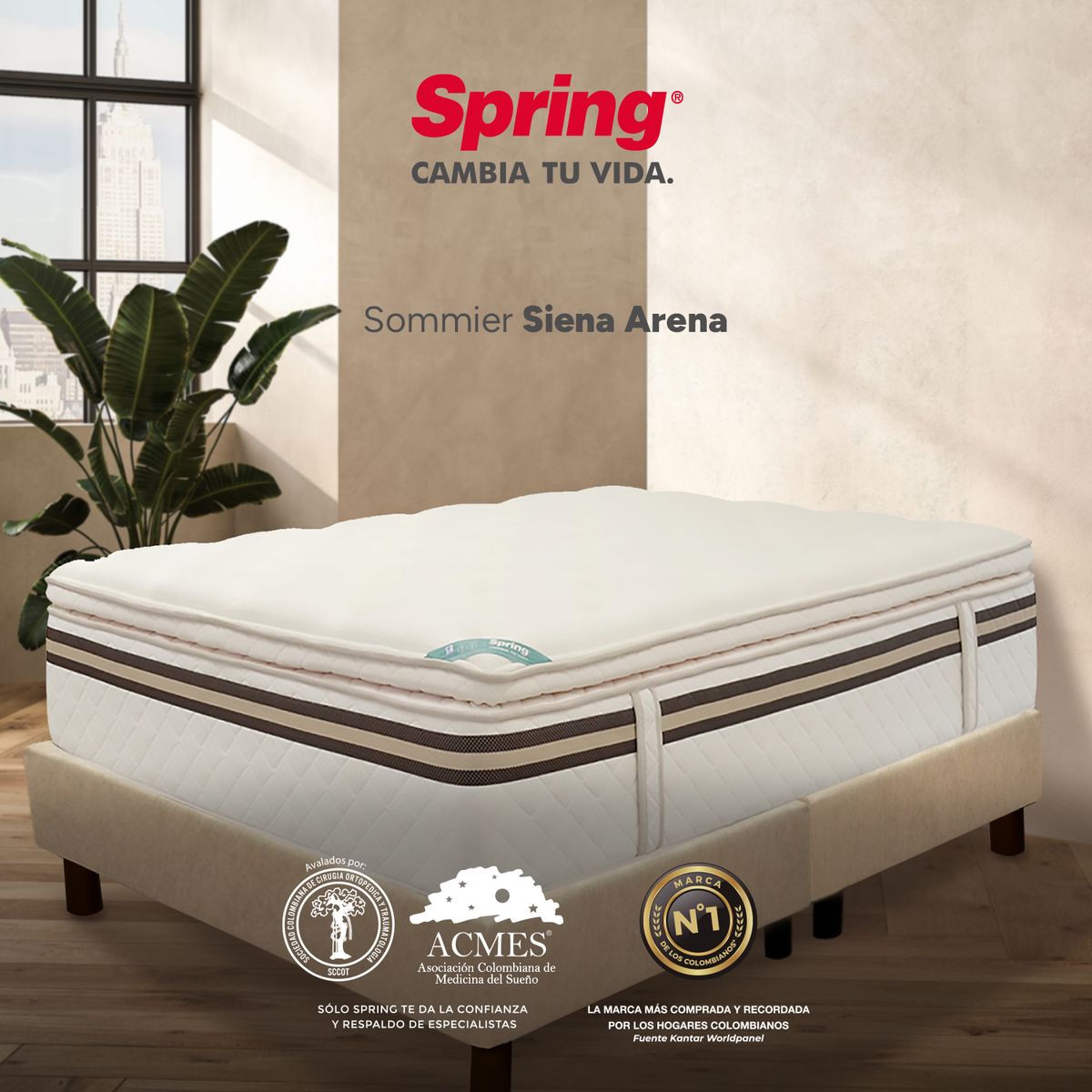 COLCHONES SPRING - Base Cama Dividida Tamaño Semidoble en Madera, 120 x 190 cm Colchones Spring