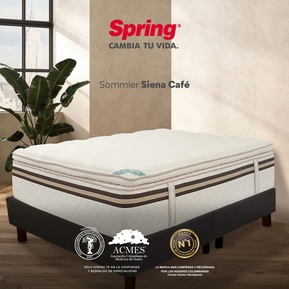 COLCHONES SPRING - Base Cama Dividida Tamaño Queen en Madera, 160 x 190 cm Colchones Spring