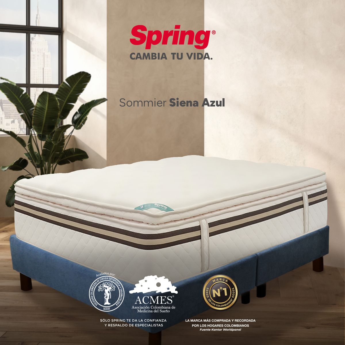 COLCHONES SPRING - Base Cama Dividida Tamaño Doble en Madera, 140 x 190 cm Colchones Spring