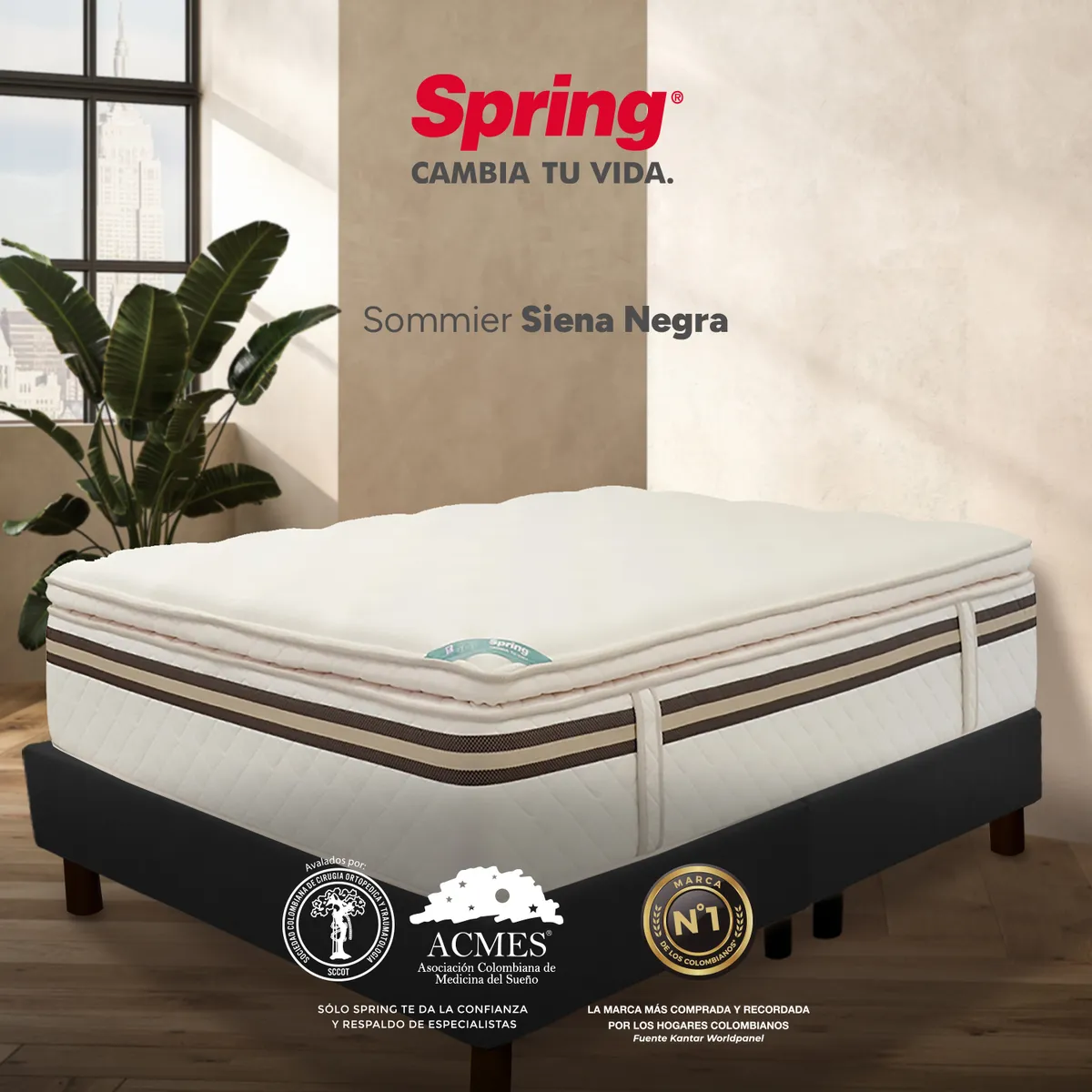 COLCHONES SPRING - Base Cama Dividida Tamaño Queen en Madera, 160 x 190 cm Colchones Spring