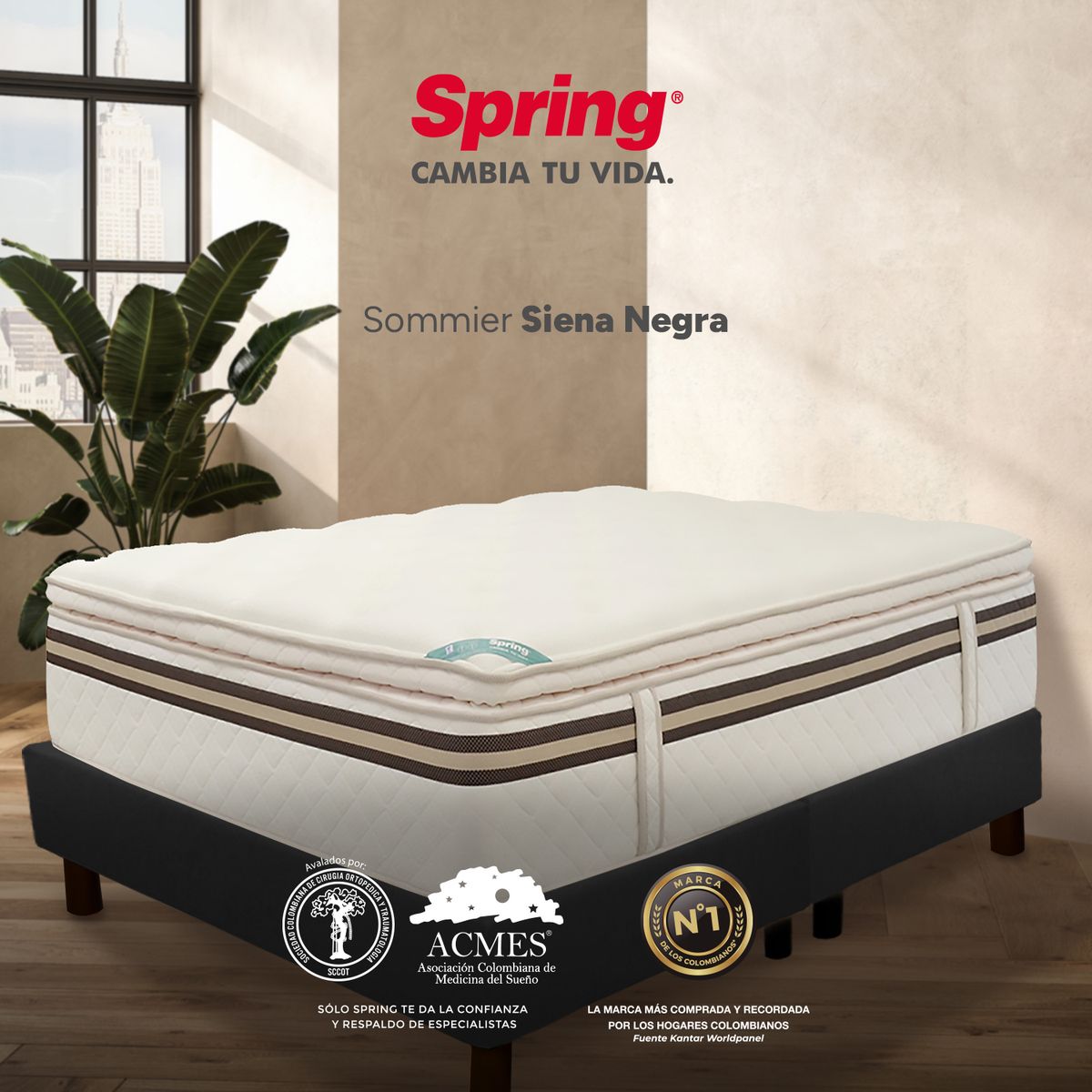 COLCHONES SPRING - Base Cama Dividida Tamaño Queen en Madera, 160 x 190 cm Colchones Spring