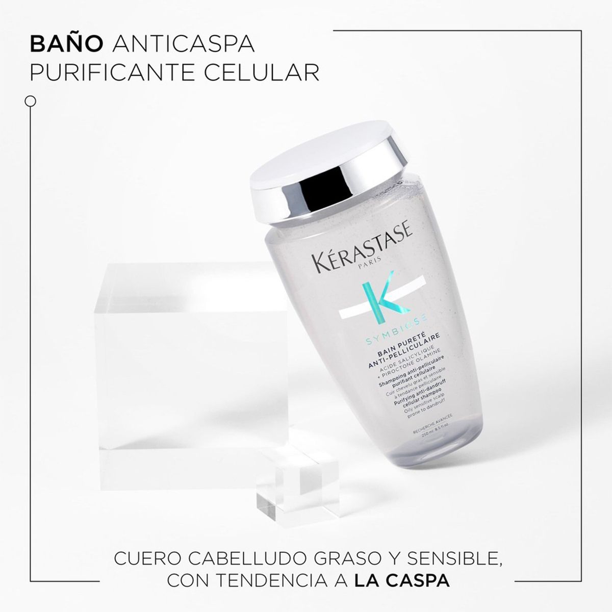 KERASTASE - Shampoo Kérastase Symbiose Pureté anti caspa Cuero cabelludo graso 250ml