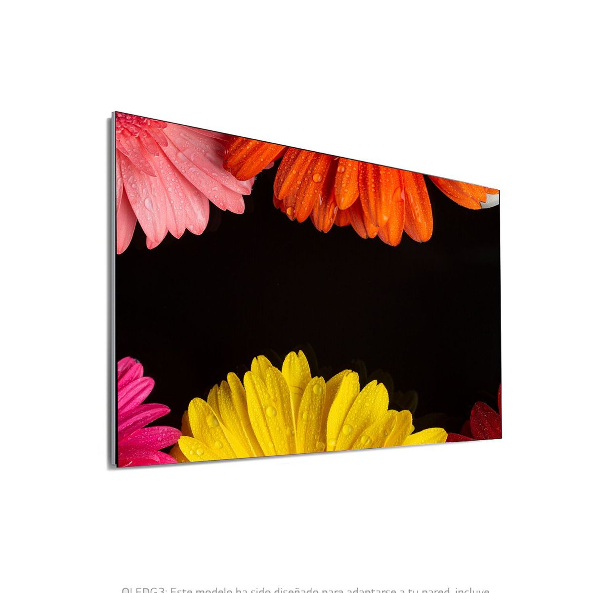 LG - Televisor LG OLED | 65 pulgadas 4K Ultra HD | Smart TV 