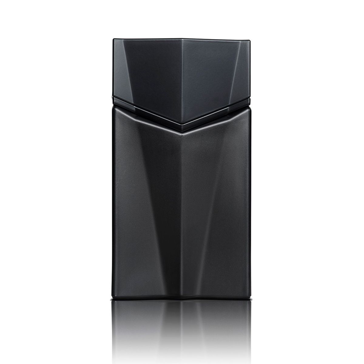 ANIMALE - Perfume Hombre Animale Seduction For Men 100 ml Eau de toilette 