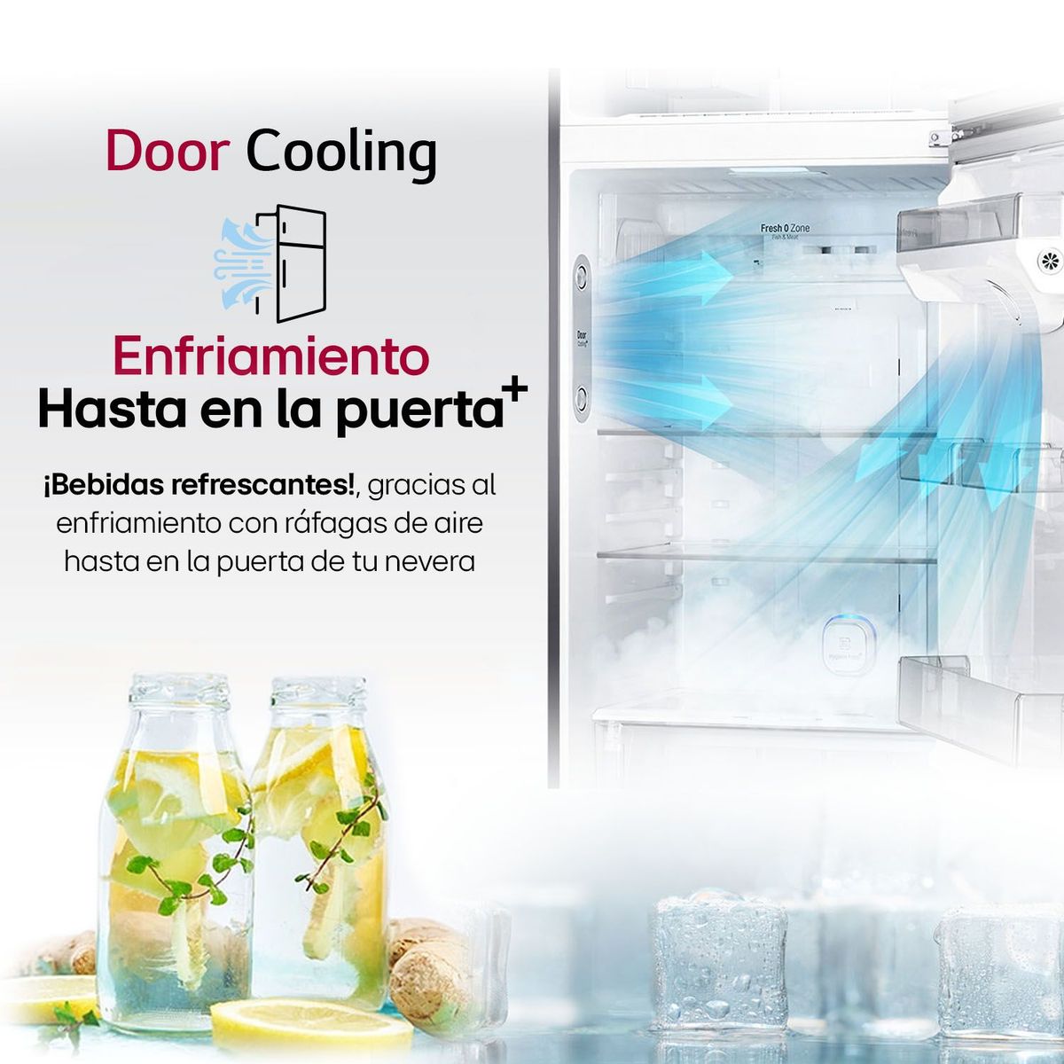 LG - Nevera Congelador superior LG 394 lt Netos VT40SGPN