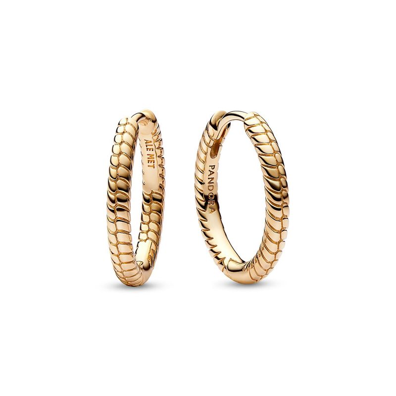 PANDORA - Aretes Pandora Aro Moments para Charm Pequeños Recubrimiento en Oro