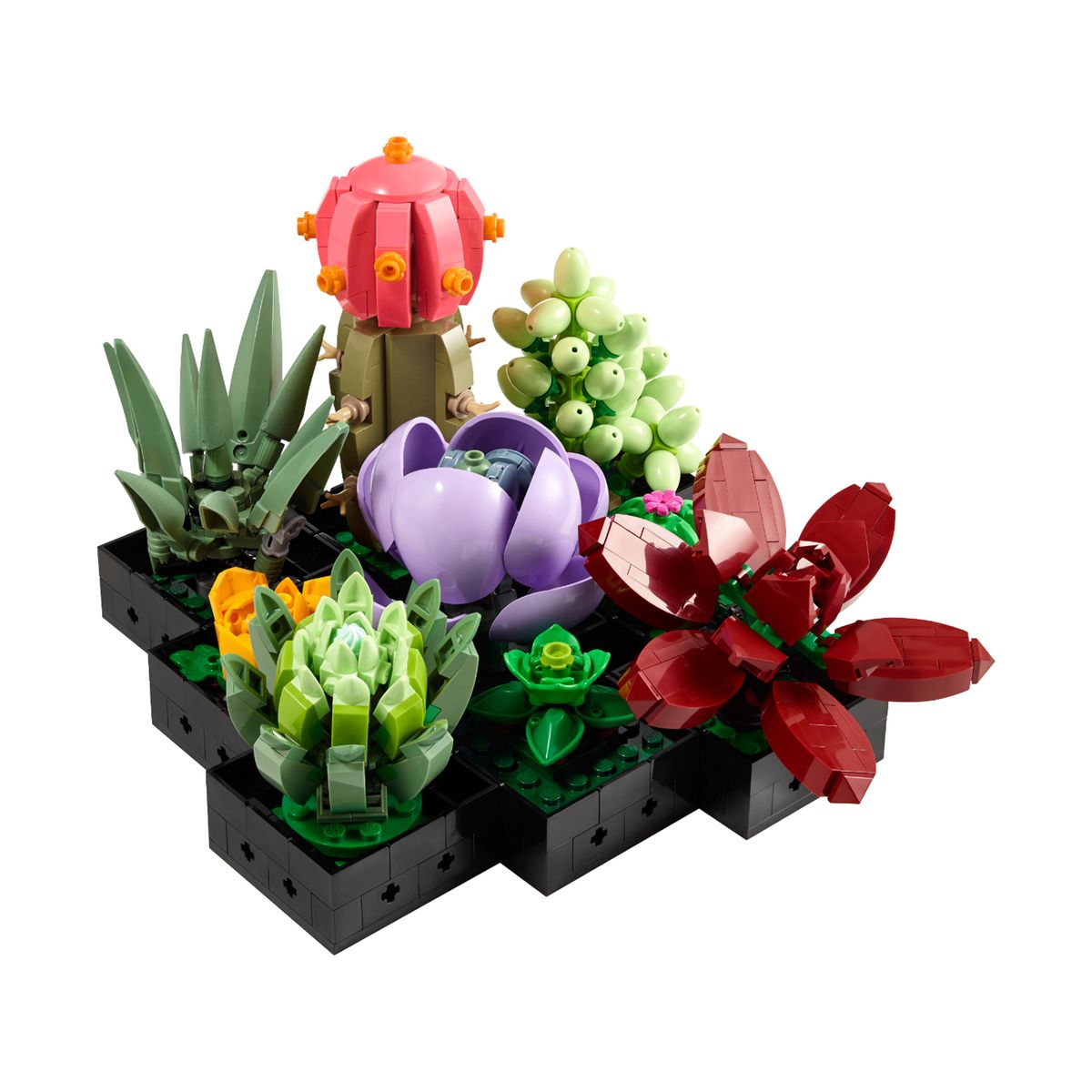 LEGO - LEGO: Colección de Suculentas Botanicals. Set de bloques de construcción