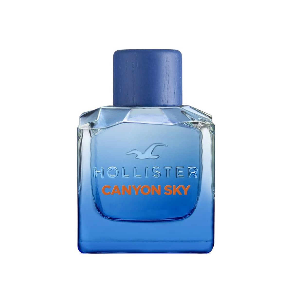 HOLLISTER - Perfume Hombre Hollister Canyon Sky 100 ml Eau de toilette