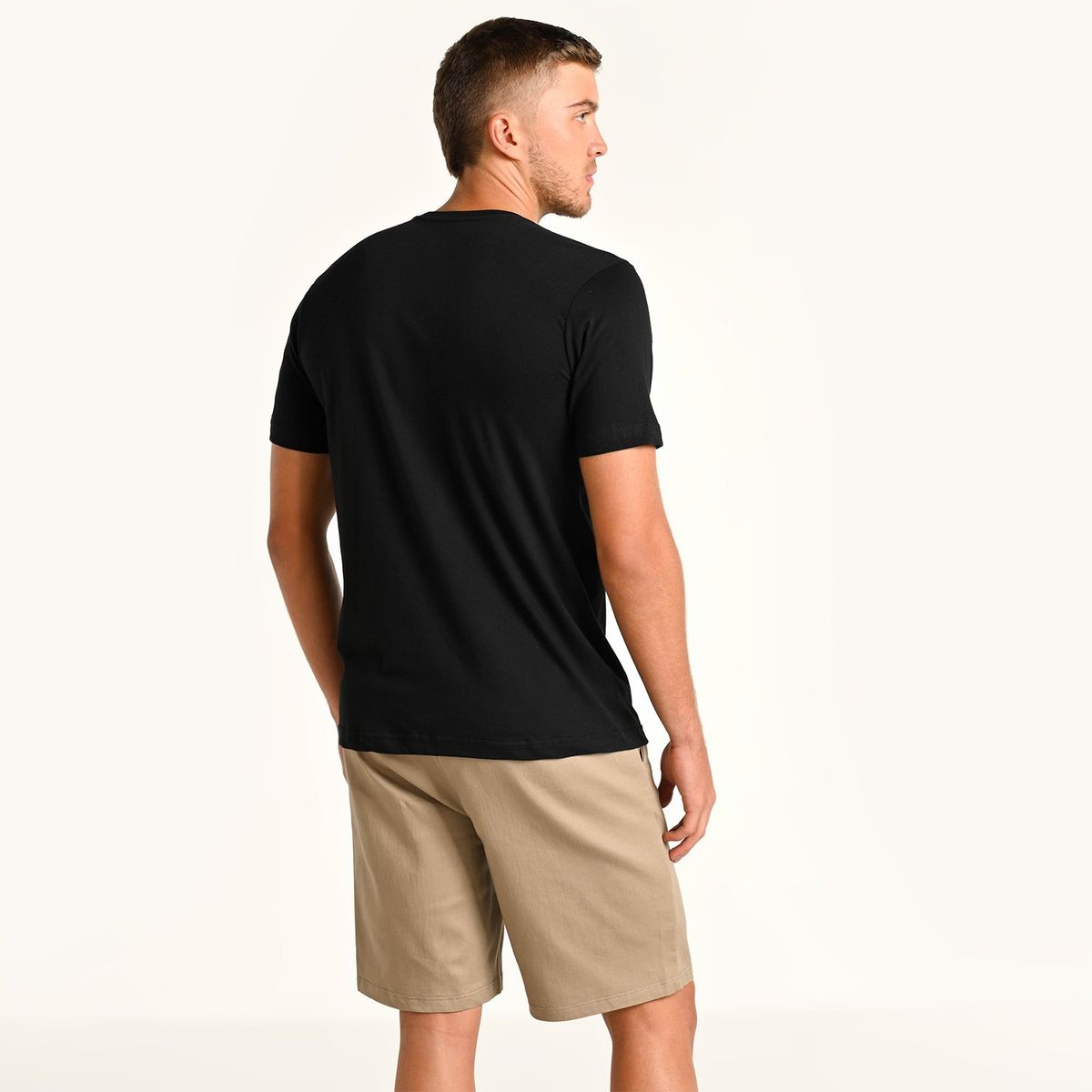 BEARCLIFF - INGARV2519 BRCLFLABS NGRO0901