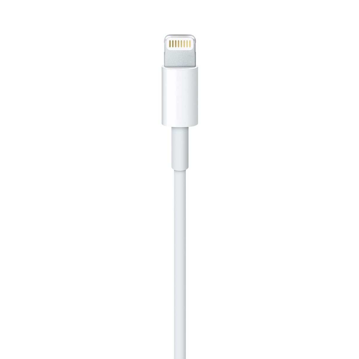 APPLE - Lightning to USB Cable 1m Apple