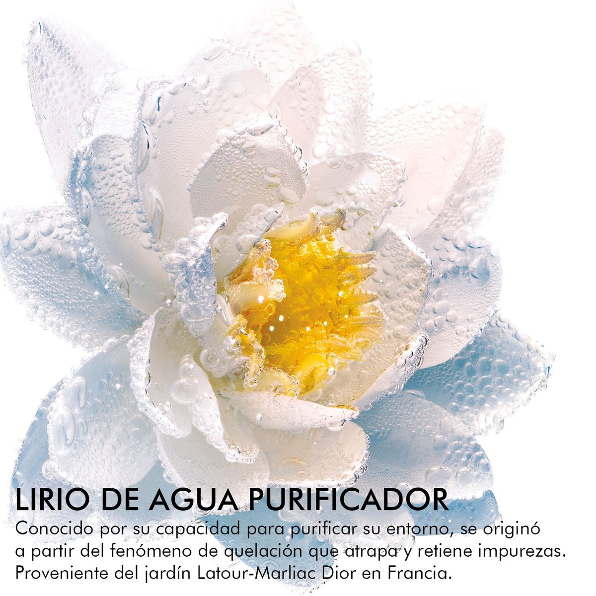 DIOR - Desmaquillante de Ojos y Labios