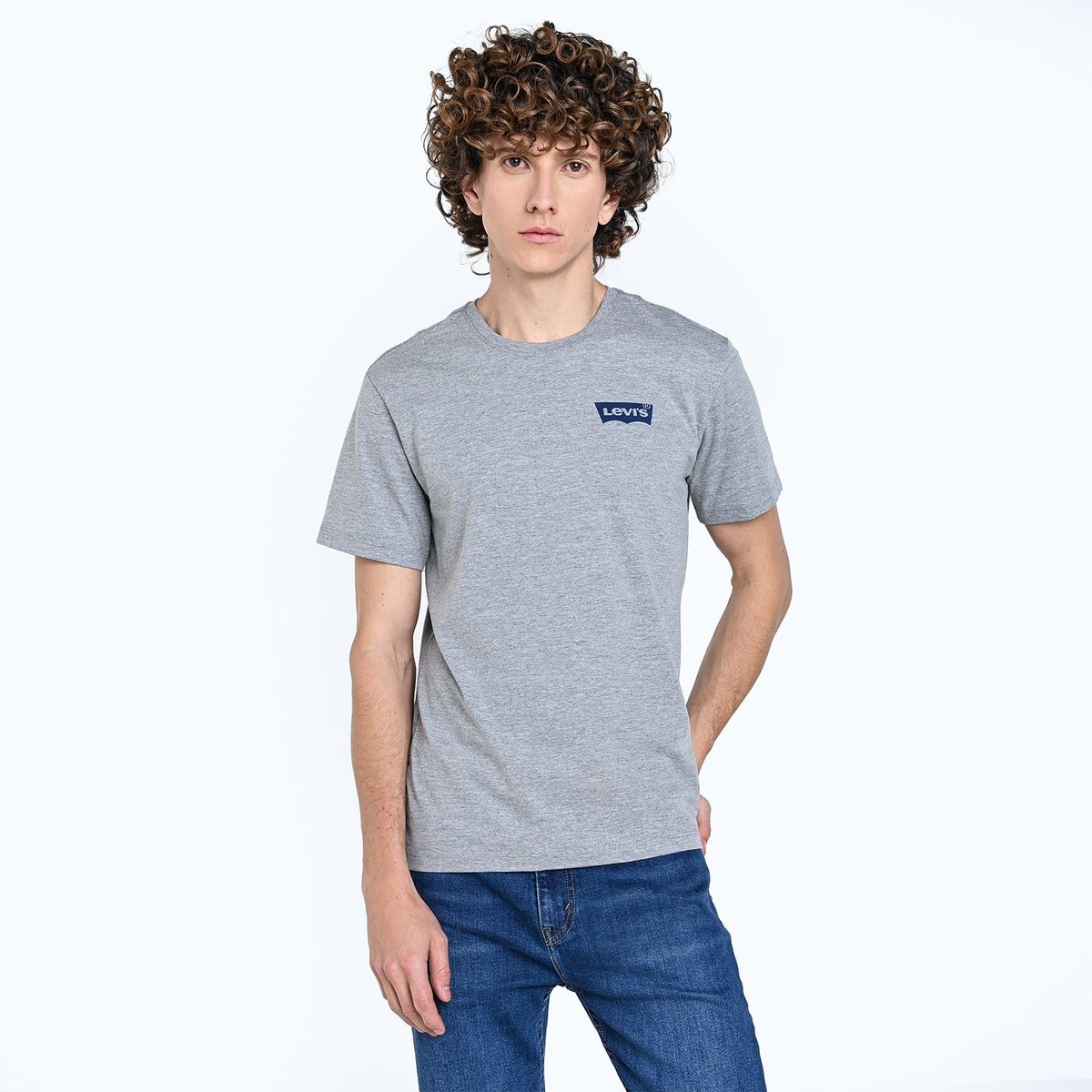 LEVIS - Camiseta Hombre Manga corta con Estampado de Algodón Levis