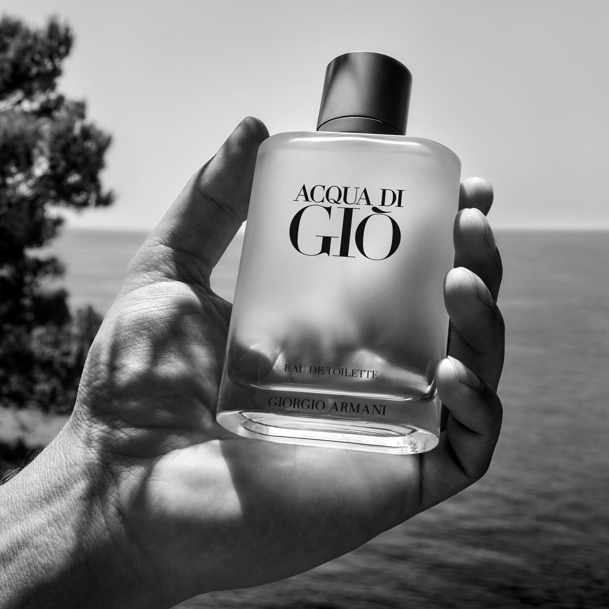 ARMANI - Perfume Hombre Armani Fragancia Acqua Di Gio 100 ml Eau de toilette 