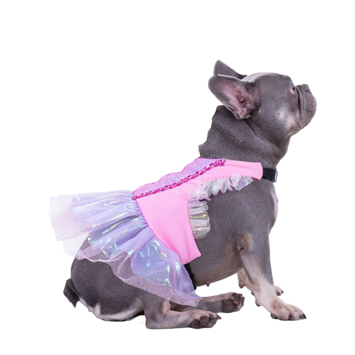 FANTASTIC NIGHT - Disfraz para mascota Vestido princesa