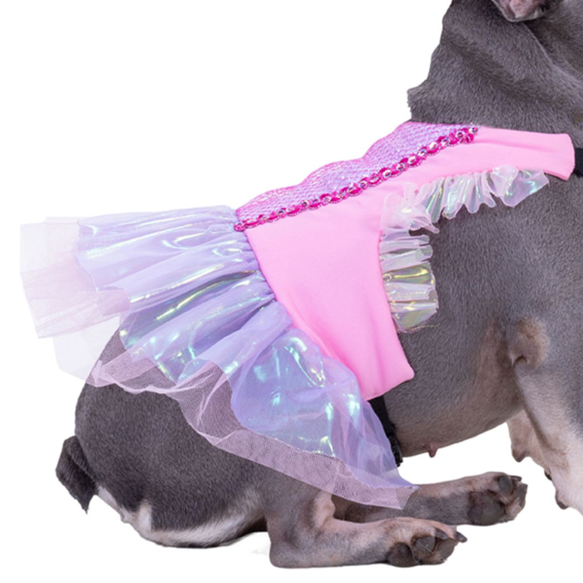 FANTASTIC NIGHT - Disfraz para mascota Vestido princesa