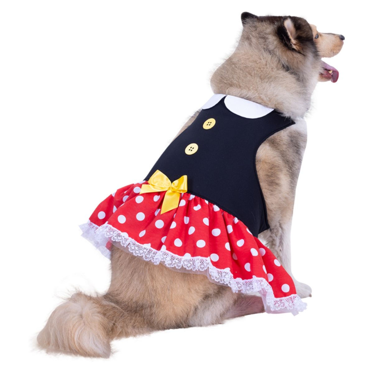 FANTASTIC NIGHT - Disfraz para mascota ratoncita