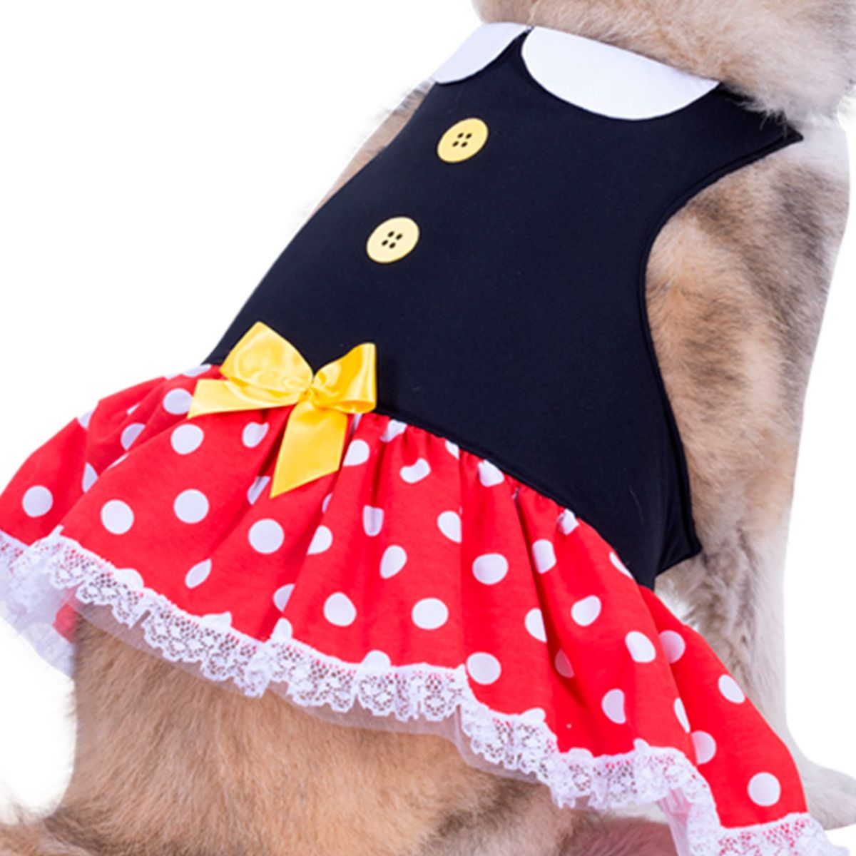 FANTASTIC NIGHT - Disfraz para mascota ratoncita