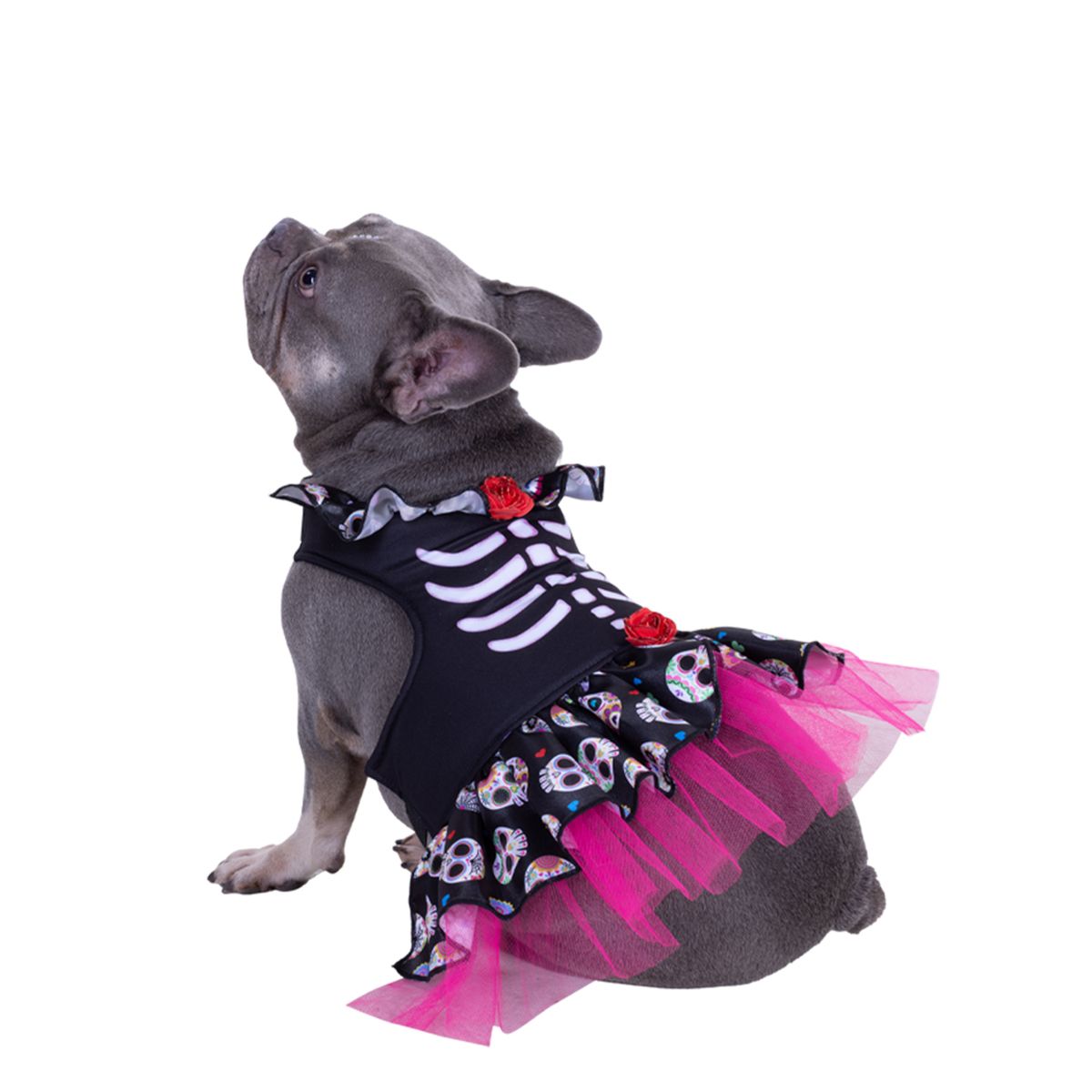 FANTASTIC NIGHT - Disfraz para mascota Catrina