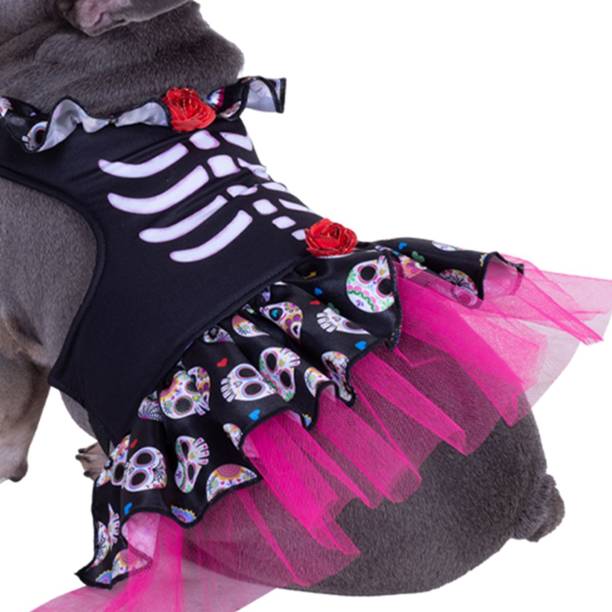 FANTASTIC NIGHT - Disfraz para mascota Catrina
