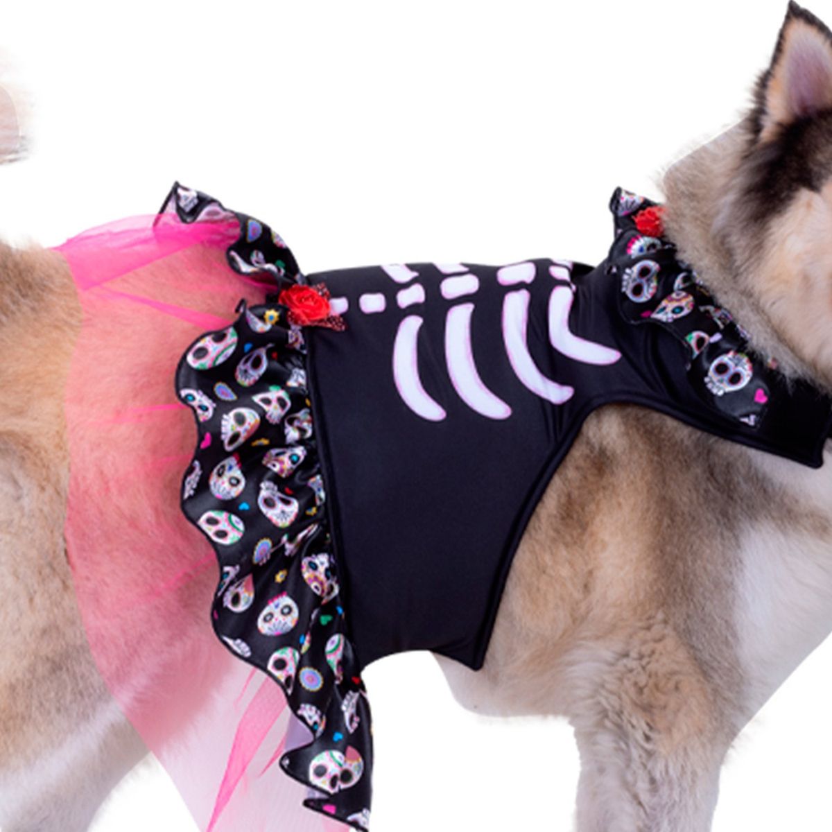 FANTASTIC NIGHT - Disfraz para mascota Catrina