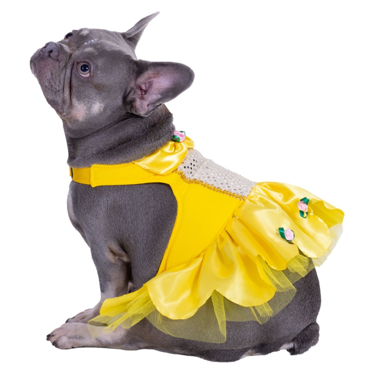 FANTASTIC NIGHT - Disfraz para mascota Vestido princesa