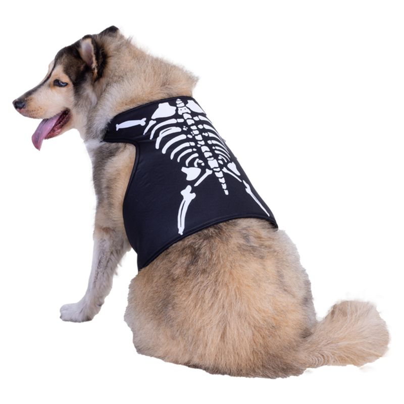 FANTASTIC NIGHT - Disfraz para mascota esqueleto