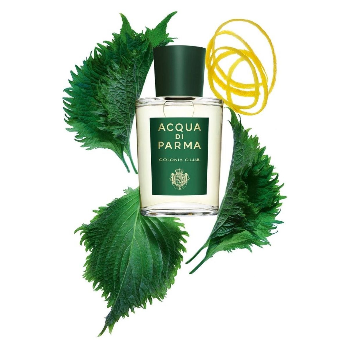 ACQUA DI PARMA - Perfume Hombre ACQUA DI PARMA COLONIA C.L.U.B 100 ml Eau de cologne 