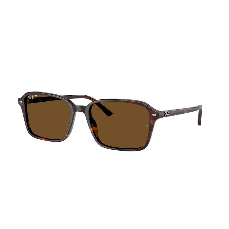 RAY BAN - Gafas De Sol Ray Ban Rb2231