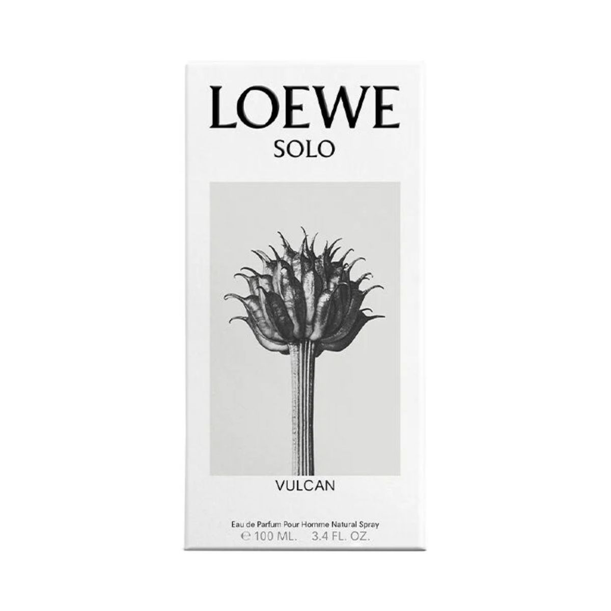 LOEWE - Perfume Hombre Loewe Solo Vulcan 100 ml Eau de parfum