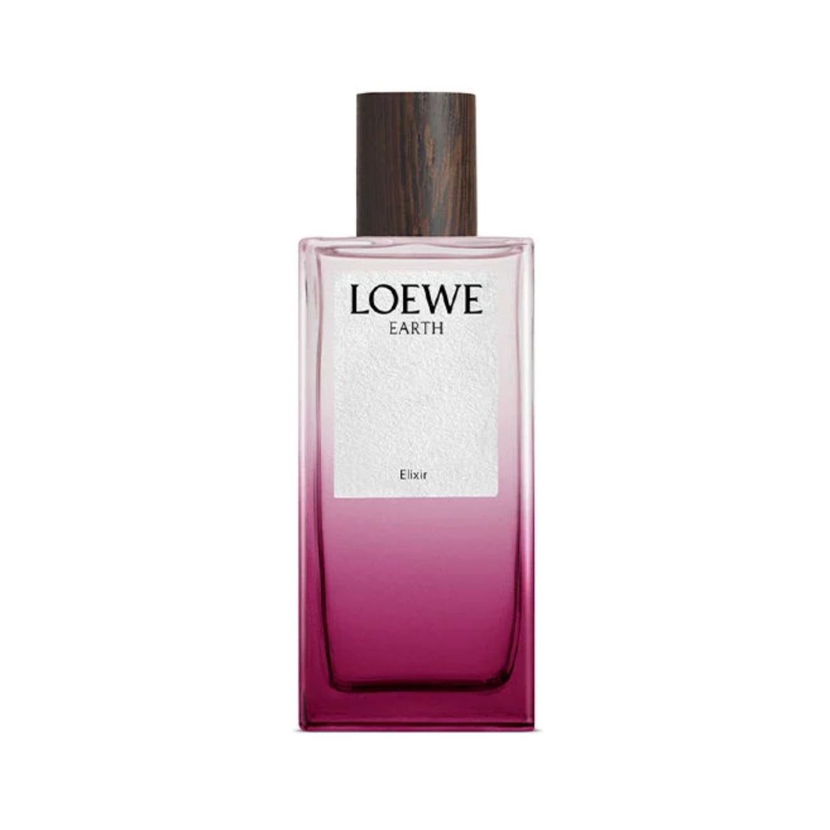 LOEWE - Perfume Mujer Loewe Earth 100 Ml Elixir
