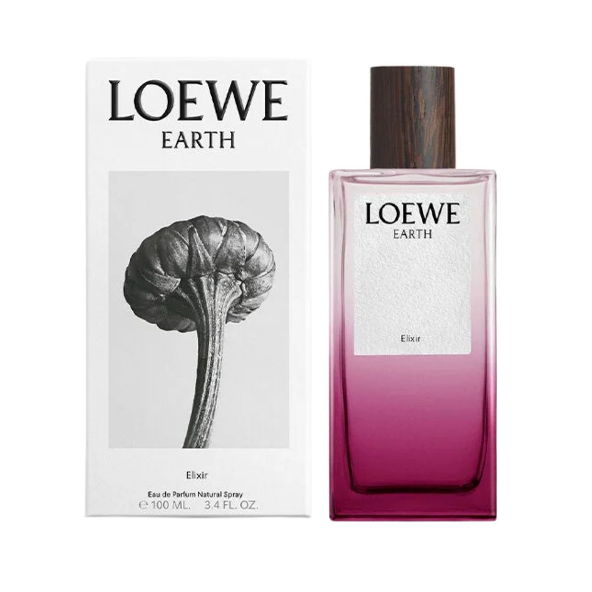 LOEWE - Perfume Mujer Loewe Earth 100 Ml Elixir