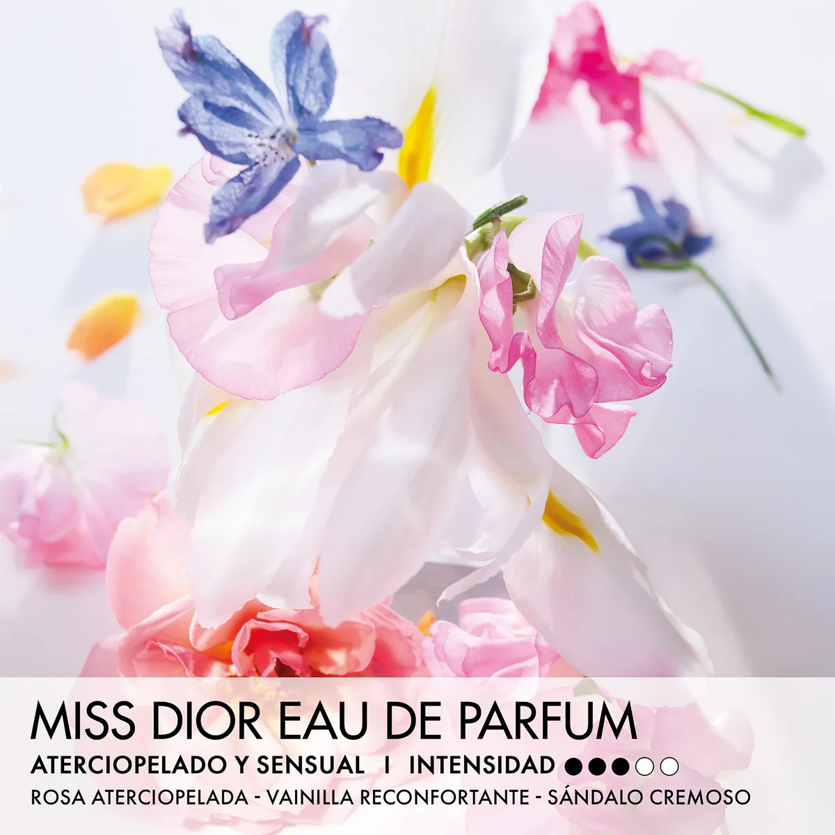 DIOR - Perfume de Mujer Dior Miss Dior Mini Miss Perfume Sólido - Perfume en barra sin alcohol 3.20 gr EDP