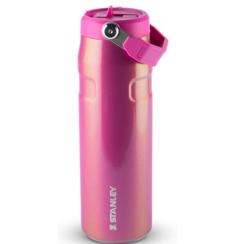 STANLEY - Termo Stanley: 710 ml Iceflow Flip Straw Acero inoxidable
