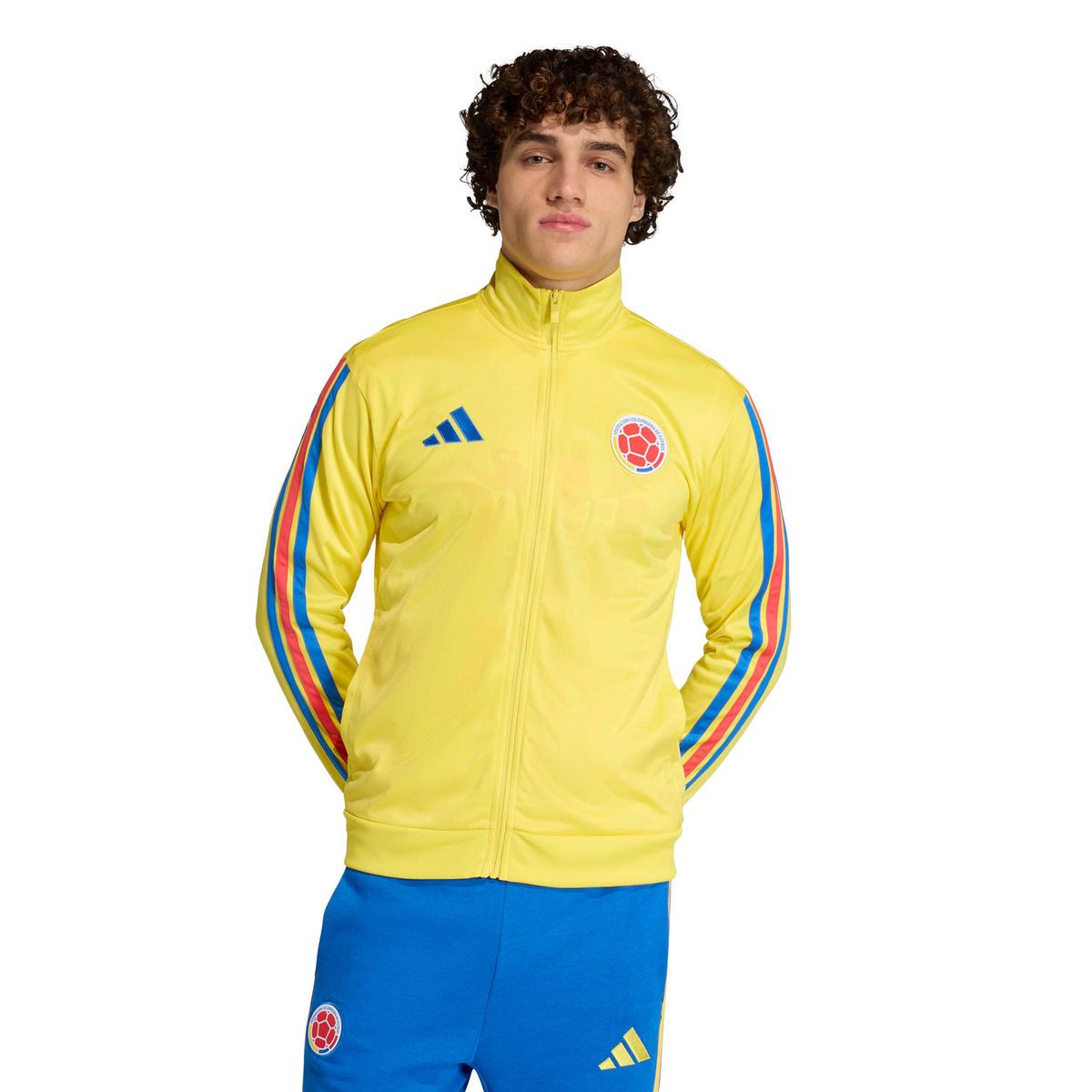 ADIDAS - Chaqueta de Futbol Deportiva Selección Colombia Mundial 2026