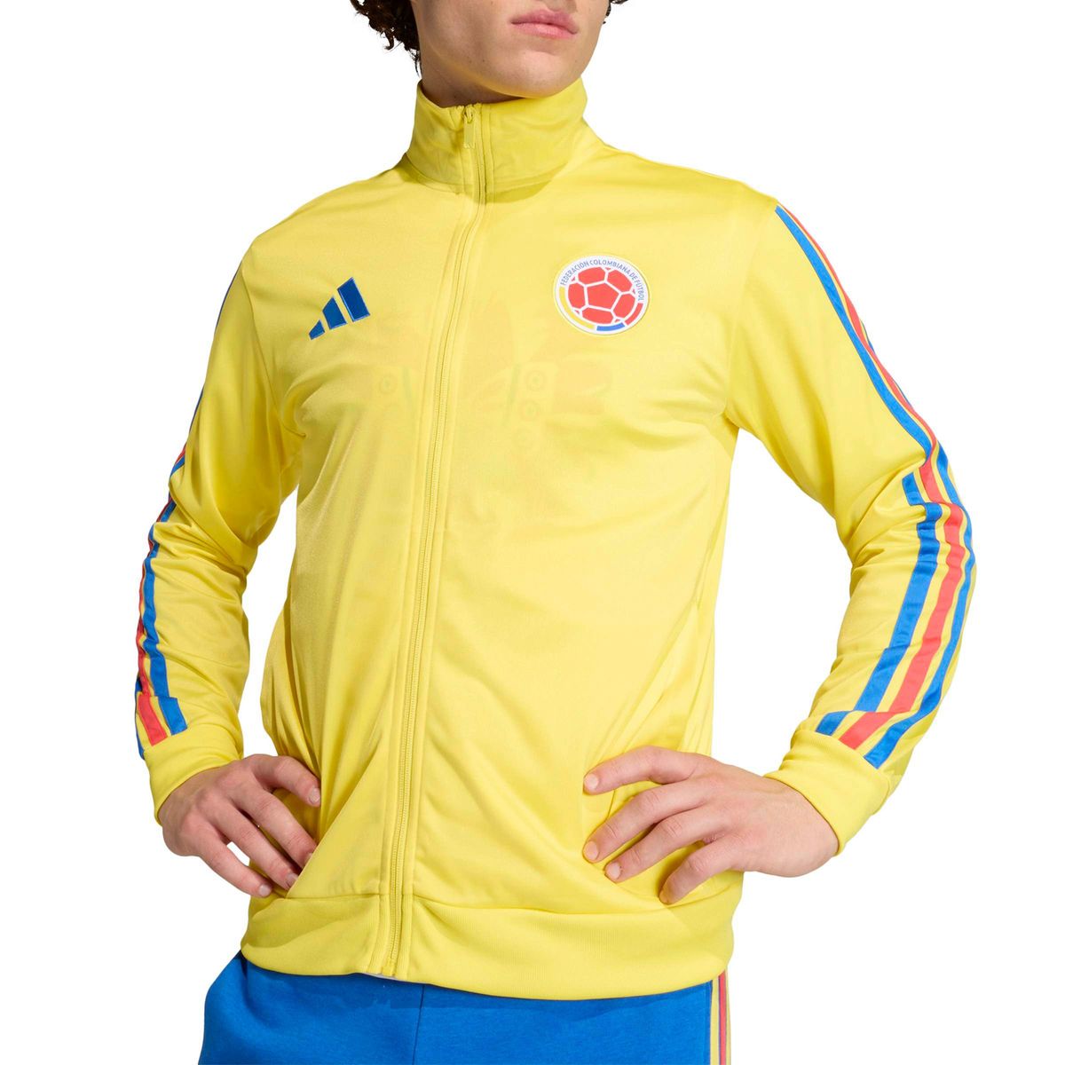 ADIDAS - Chaqueta de Futbol Deportiva Selección Colombia Mundial 2026