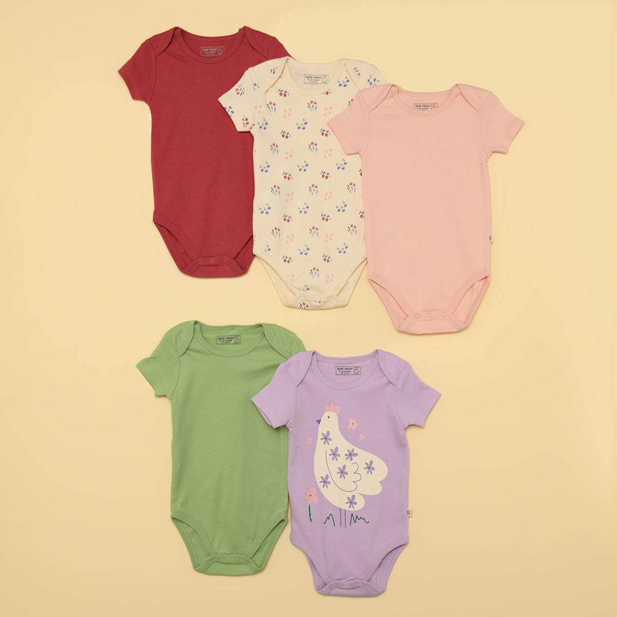 BABY FRESH - Bodies para Bebé niña Pack de 5 unidades de Algodón Baby Fresh
