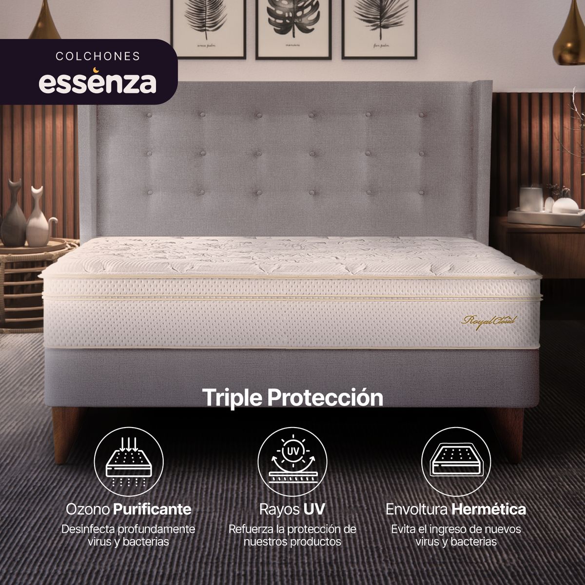 ESSENZA - Set de dormitorio COMBO CLOUD 2 King