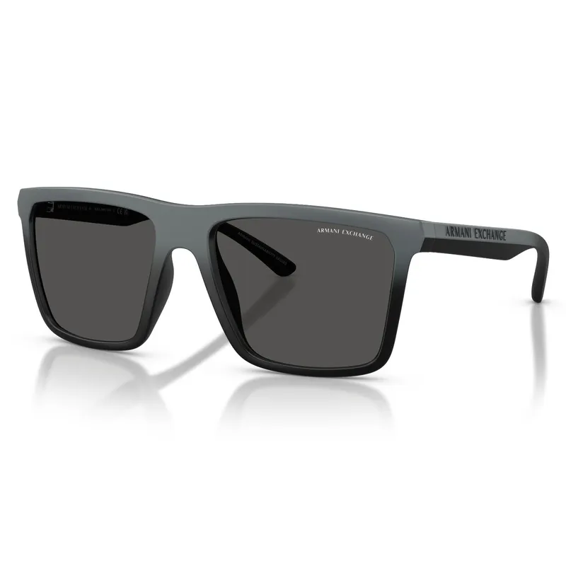 ARMANI EXCHANGE - Gafas De Sol Armani Exchange 0Ax4162Su Negro