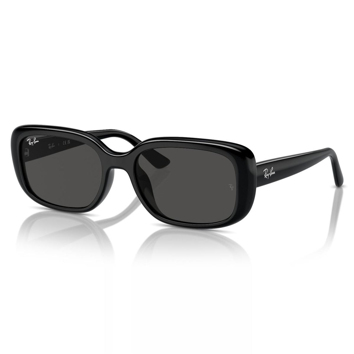 RAY BAN - Gafas De Sol Ray Ban 0Rb4421D Negro