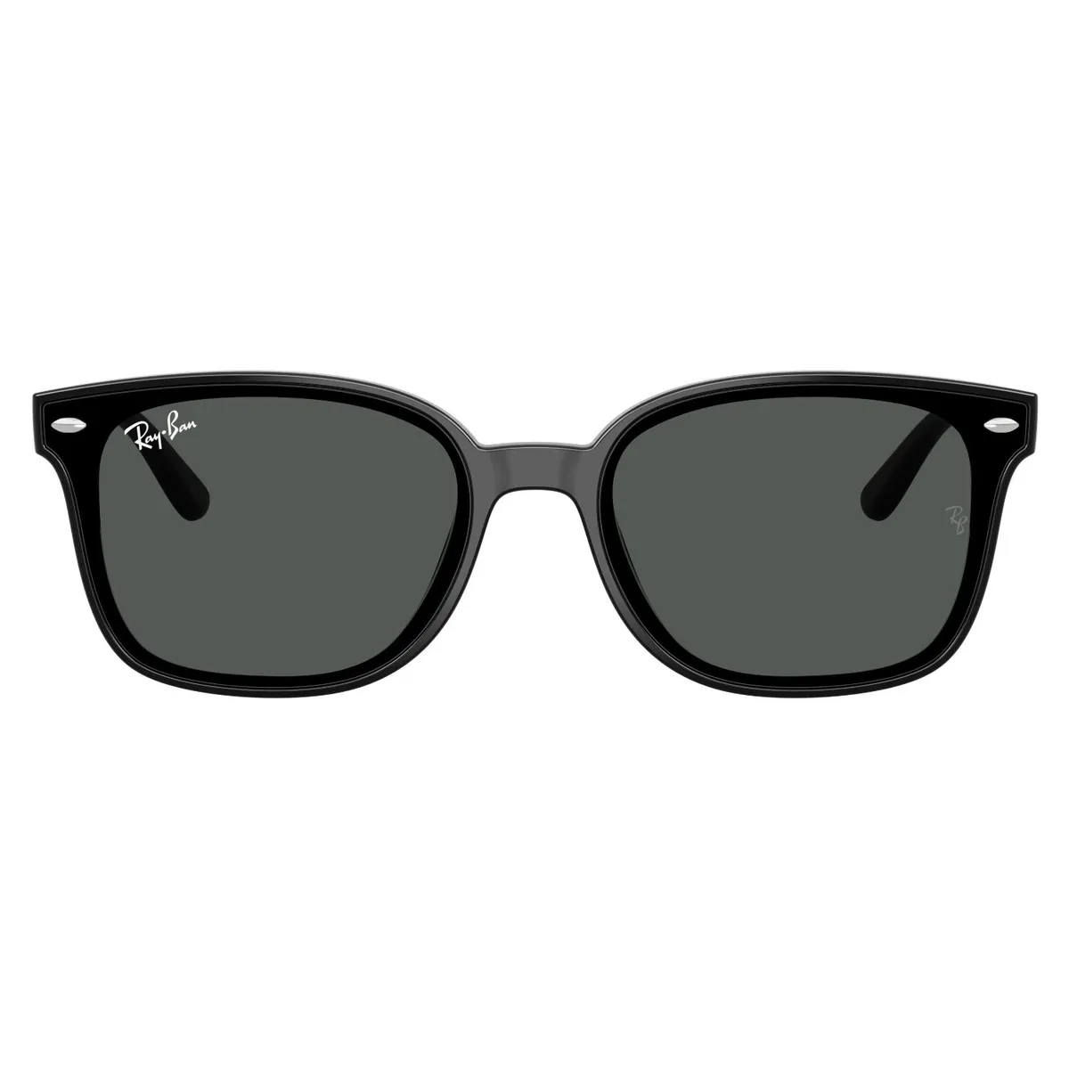 RAY BAN - Gafas De Sol Ray Ban 0Rb4461D Negro
