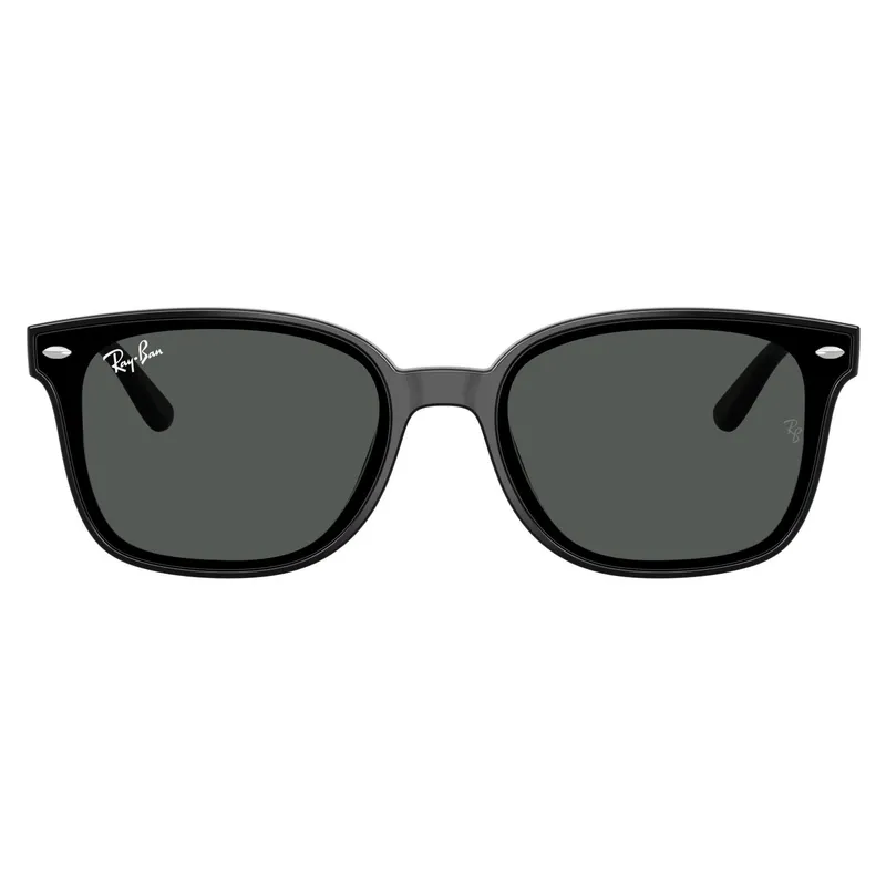 RAY BAN - Gafas De Sol Ray Ban 0Rb4461D Negro