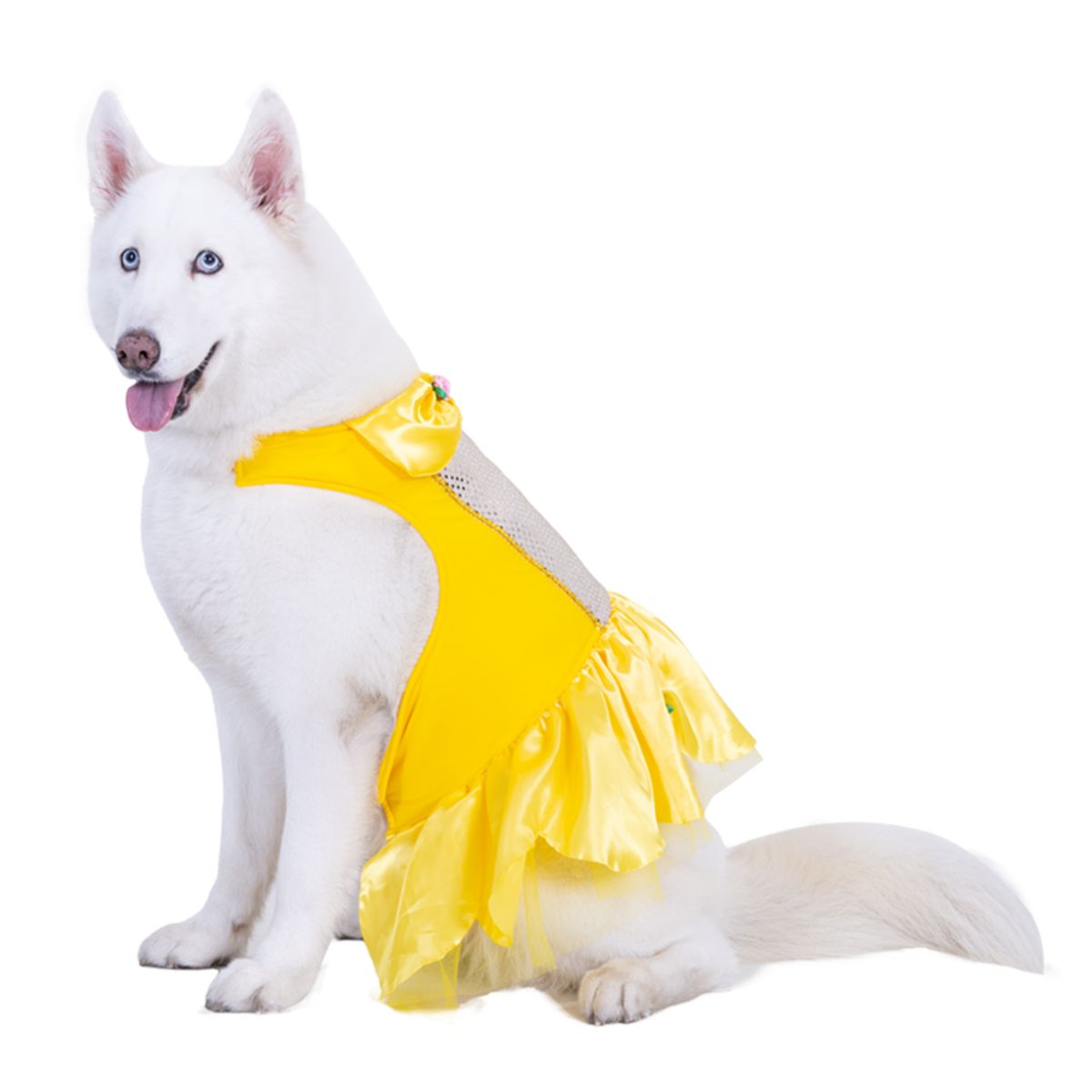 FANTASTIC NIGHT - Disfraz para mascota Vestido princesa