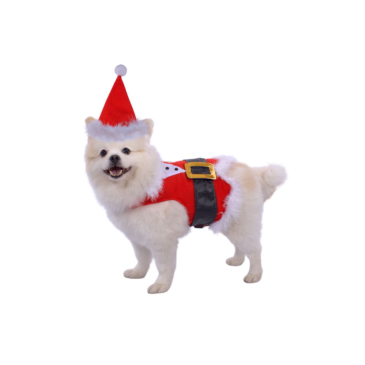 FANTASTIC NIGHT - Disfraz para mascota Papá Noél