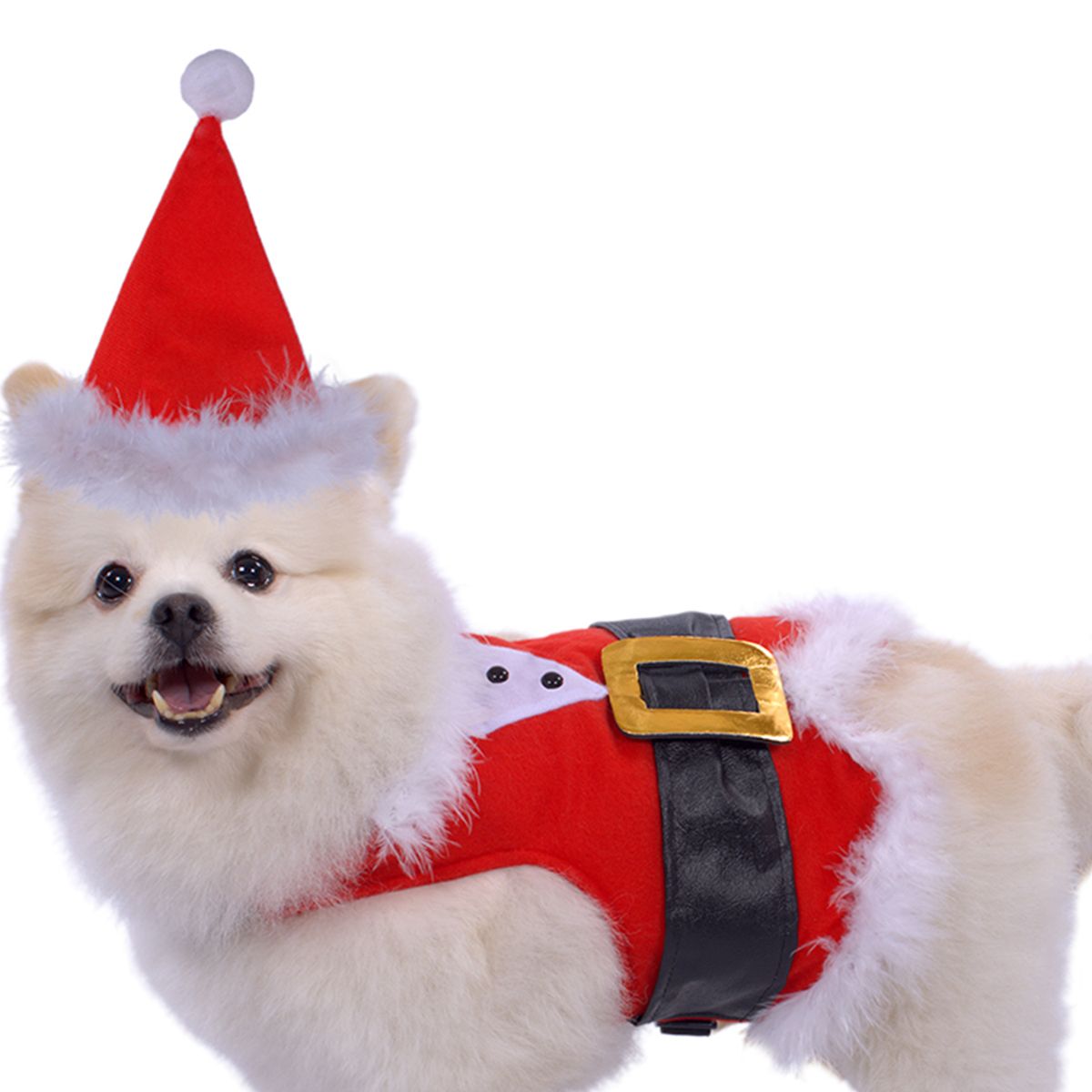 FANTASTIC NIGHT - Disfraz para mascota Papá Noél